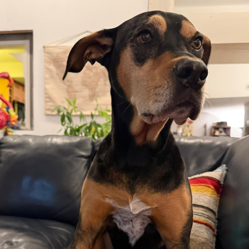 Sally Mae